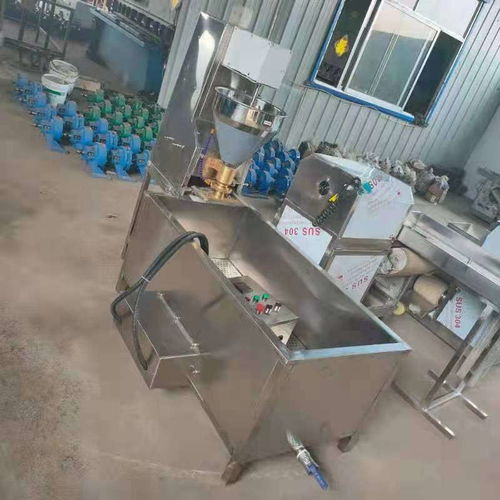 自动包心肉丸机鱼丸机生产包馅猪肉丸贡丸鱼丸丸子机
